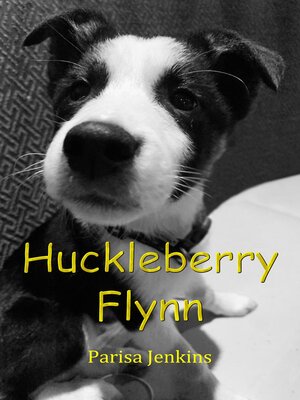 cover image of Huckleberry Flynn